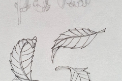 Croquis fleurs et feuilles